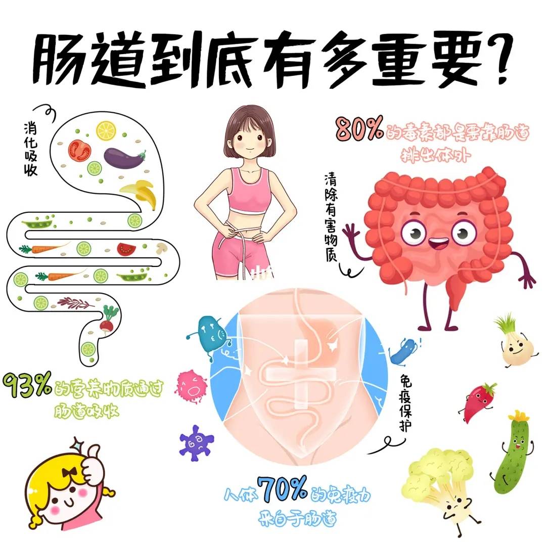 “年轻”肠道:补充火箭版金百通益生元~
