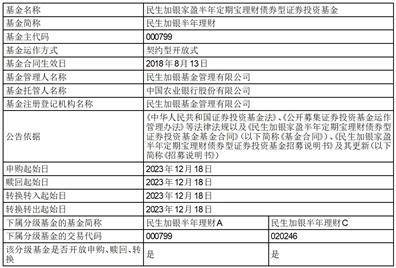 民生加银家盈半年定期宝理财债券型证券投资基金 开放申购、赎回和转换业务的公告