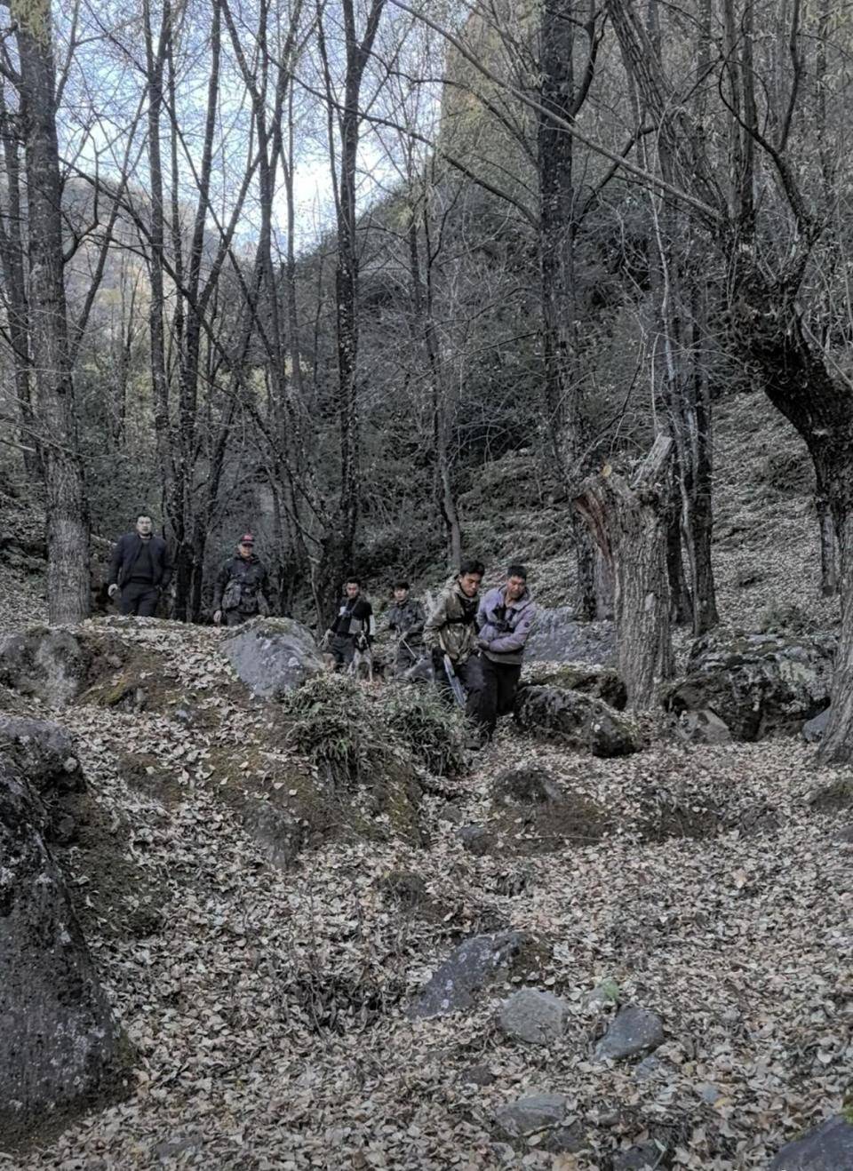 揭秘“野猪猎捕队”丨海拔3000米高山密林<strong></p>
<p>理财官网</strong>，记者跟队直击猎捕野猪全过程