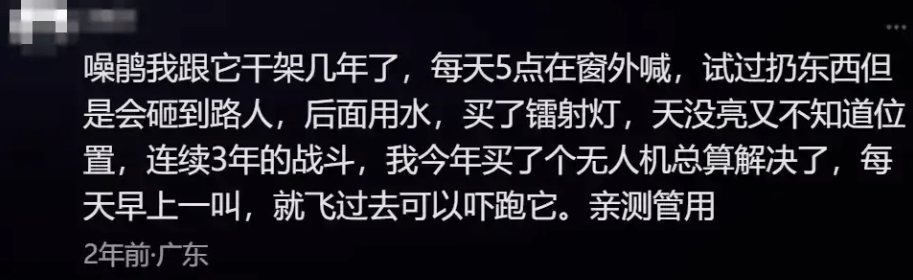 “周末想睡个懒觉都不行”<strong></p>
<p>理财怎么做</strong>，有多少深圳人被这种鸟吵到神经衰弱