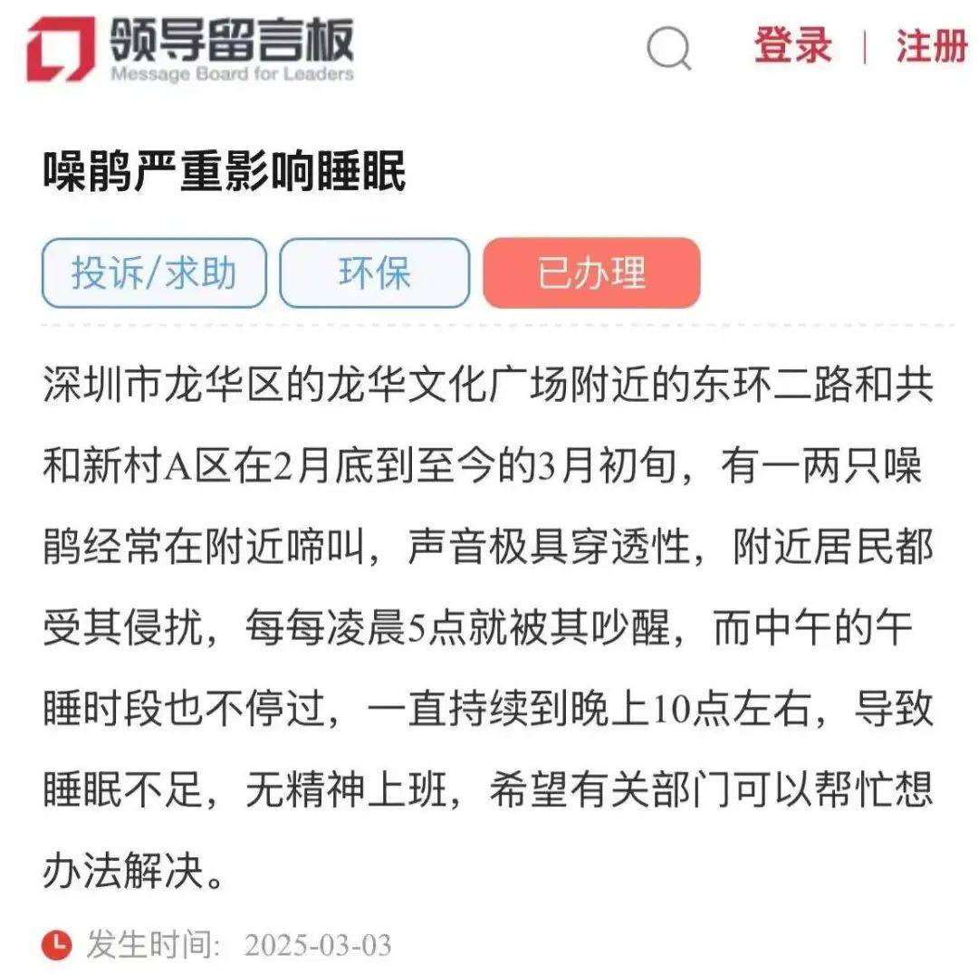 “周末想睡个懒觉都不行”<strong></p>
<p>理财怎么做</strong>，有多少深圳人被这种鸟吵到神经衰弱