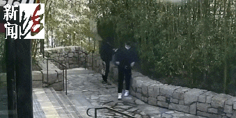 太猖狂！事发上海迪士尼<strong></p>
<p>理财与投资</strong>，7人被刑拘