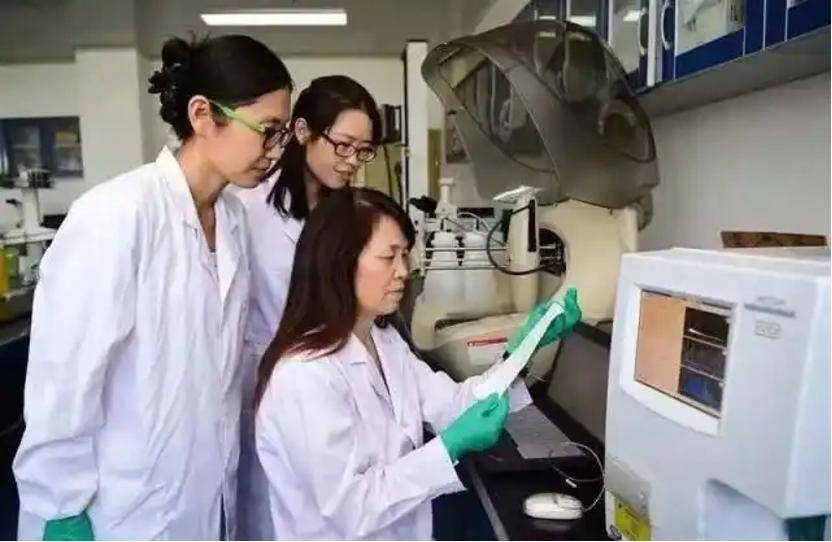 深挖 | “西北大学副校长范代娣成陕西首富”系乌龙<strong></p>
<p>财宝理财</strong>，但她的人生如同开挂