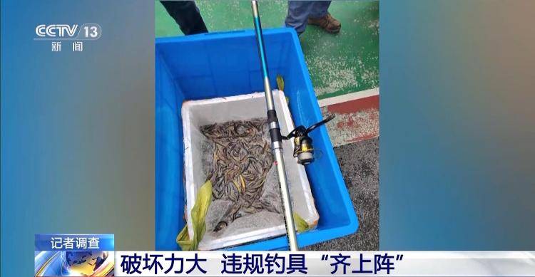 保护区里的“疯狂垂钓”屡禁不止<strong></p>
<p>理财目标</strong>！记者调查