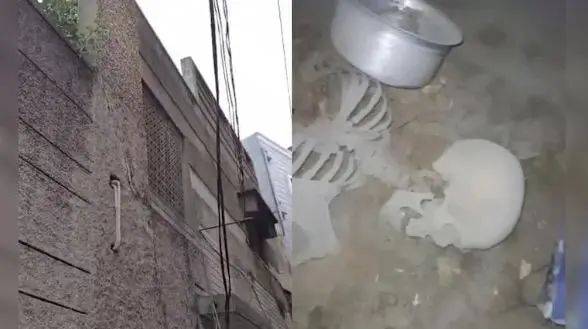 印度一男子寻板球<strong></p>
<p>理财跑路</strong>，意外发现隐藏十年之久的白骨，通话记录帮助锁定死亡时间