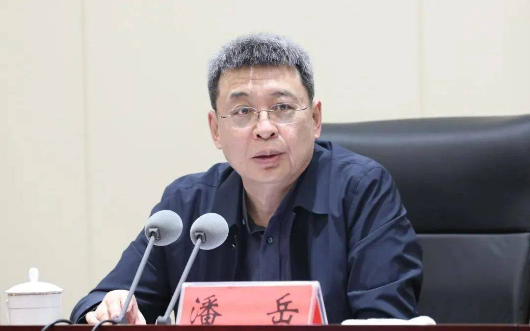 正部级潘岳<strong></p>
<p>杭州理财</strong>，有新职