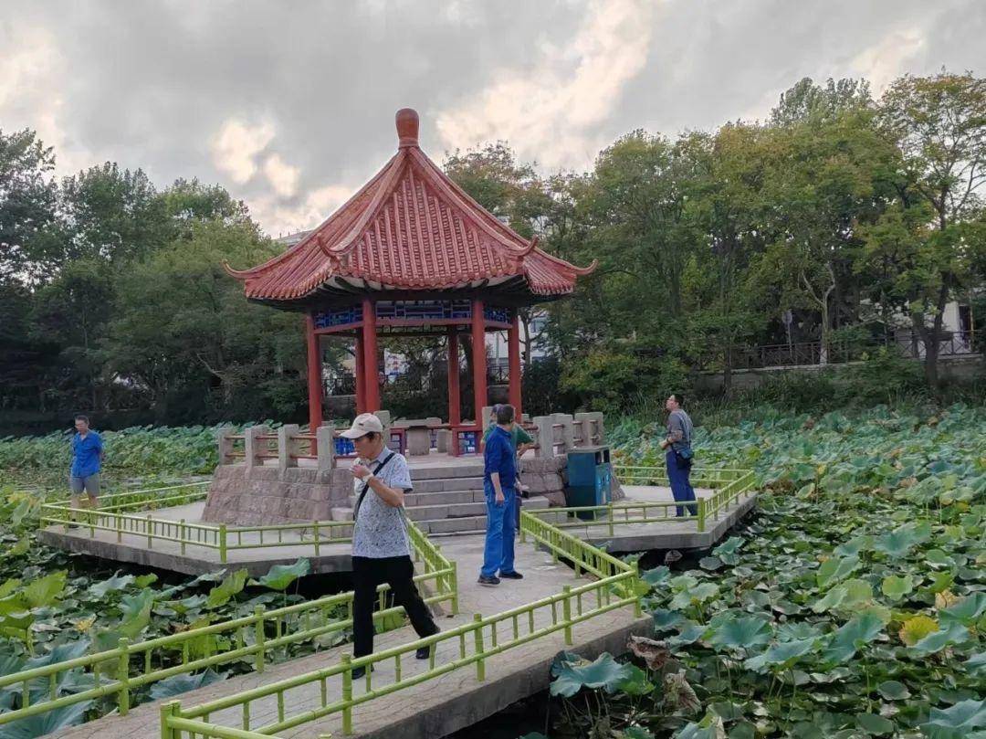 青岛中山公园一凉亭突然倒塌：一年前刚完成修缮<strong></p>
<p>基金理财产品</strong>，园方称无伤亡原因待查