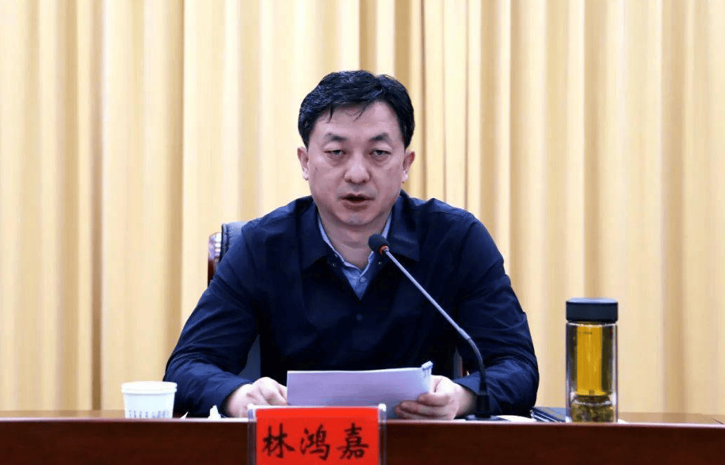 鹤壁市常务副市长林鸿嘉<strong></p>
<p>平安银行理财</strong>，被罢免市人大代表职务