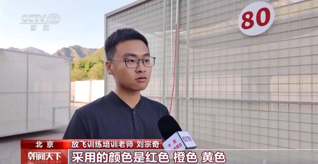 明天将放飞8万羽和平鸽、8万只气球<strong></p>
<p>苏理财</strong>，揭秘！