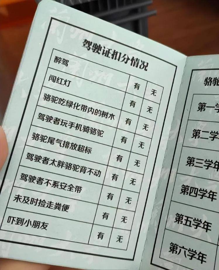 一人一驼<strong></p>
<p>苏理财</strong>，骆驼尾气排放超标要扣分？兰大回应学生持证骑骆驼上学：骆驼驾驶证为学校文创，非官方证件