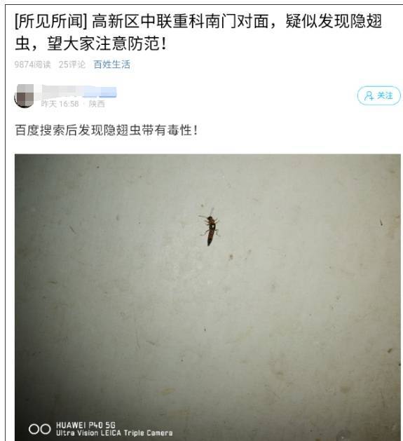 西安多区发现隐翅虫？千万别拍<strong></p>
<p>稳理财</strong>！毒液堪比硫酸