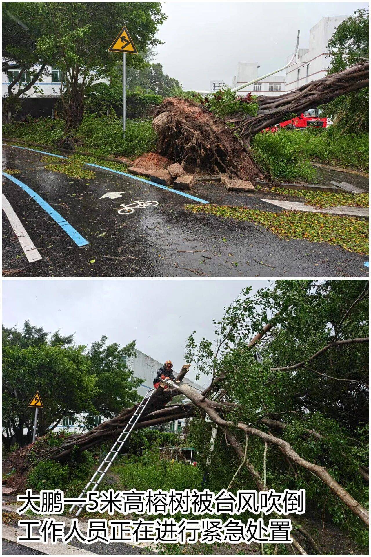 台风夜<strong></p>
<p>陆理财</strong>，深圳有人溺水！紧急！“桦加沙”过境，这些画面泪目