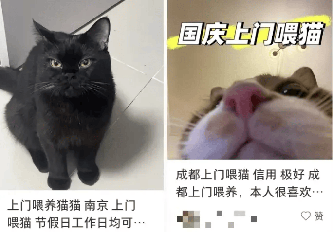 这个需求激增！一男子连接270单<strong></p>
<p>理财产品净值</strong>，其中一笔收费8100元
