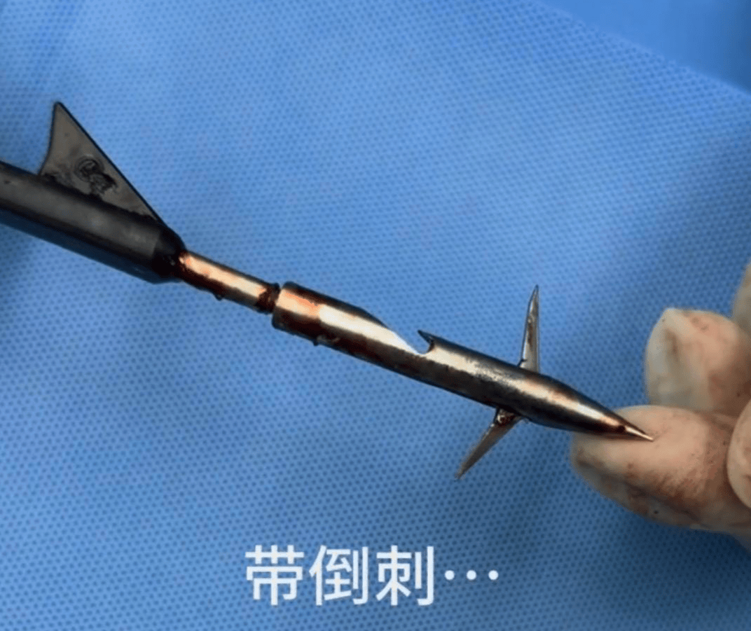 教育局回应“一教师用弓箭射杀小狗”：不实<strong></p>
<p>基础理财</strong>，小狗进学校前就被射伤
