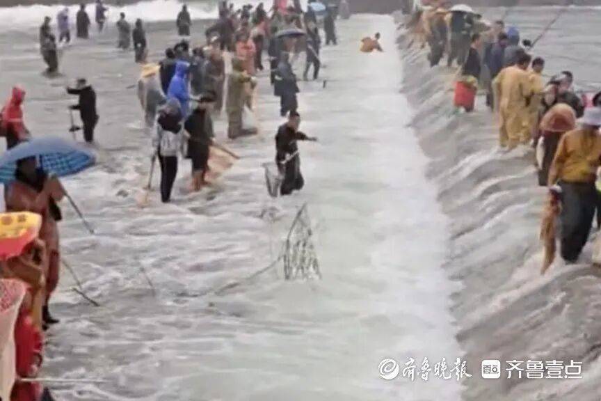 “鱼多得数不过来<strong></p>
<p>微信的理财</strong>，一网子下去能捞好几条”济南锦绣川水库开闸放水，大量鲢鱼被冲出，工作人员：禁止捕捞！