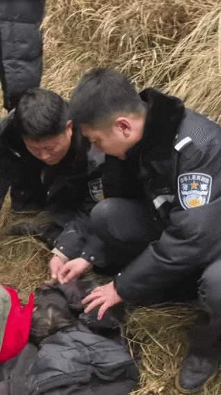辽宁4岁女童称睡醒后自行下车<strong></p>
<p>银行基金理财</strong>，迷路后睡在草地，期间无人接触；其母发声