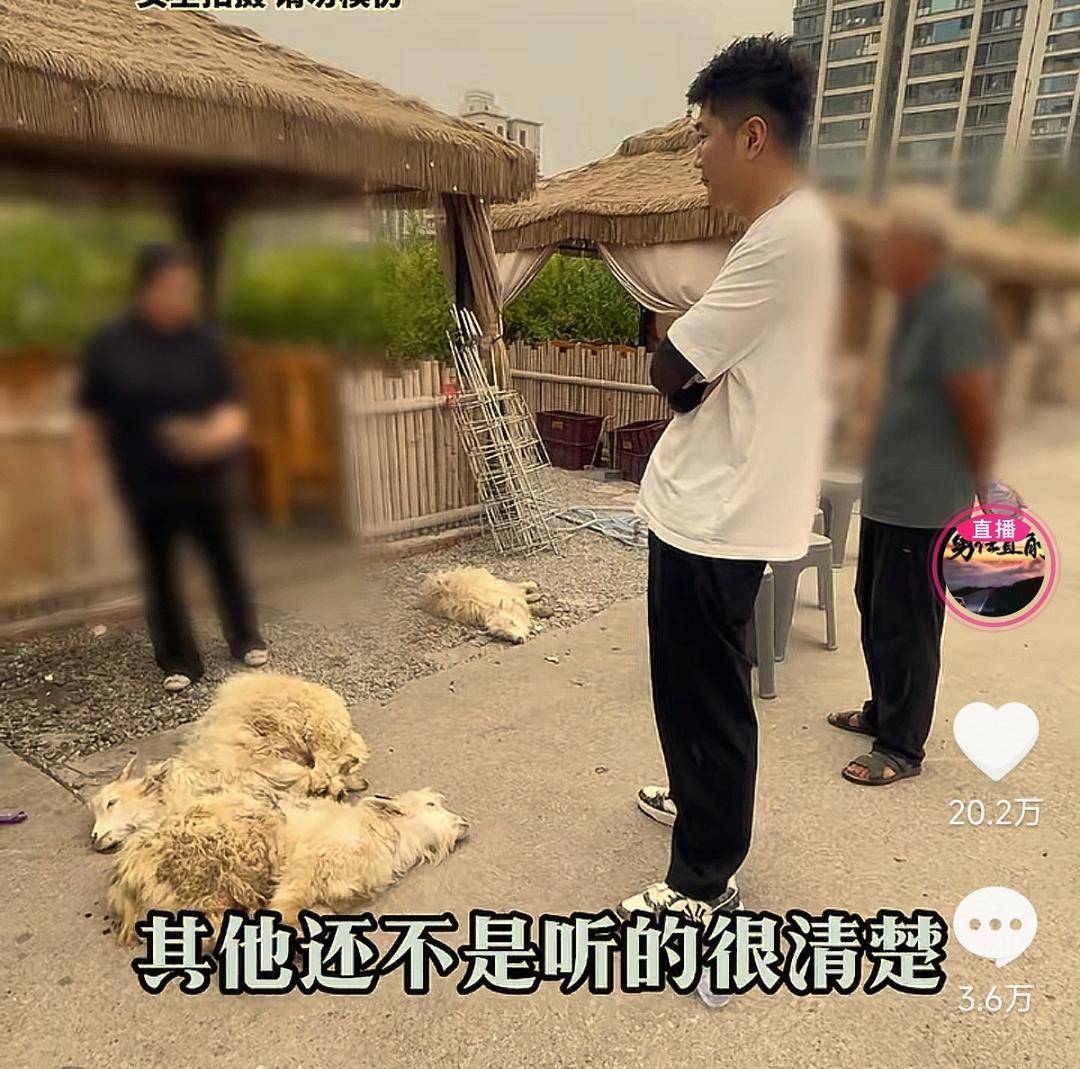 60斤活羊实际只有30多斤<strong></p>
<p>银行基金理财</strong>！博主打假重庆两家烤全羊店获“退一赔三”