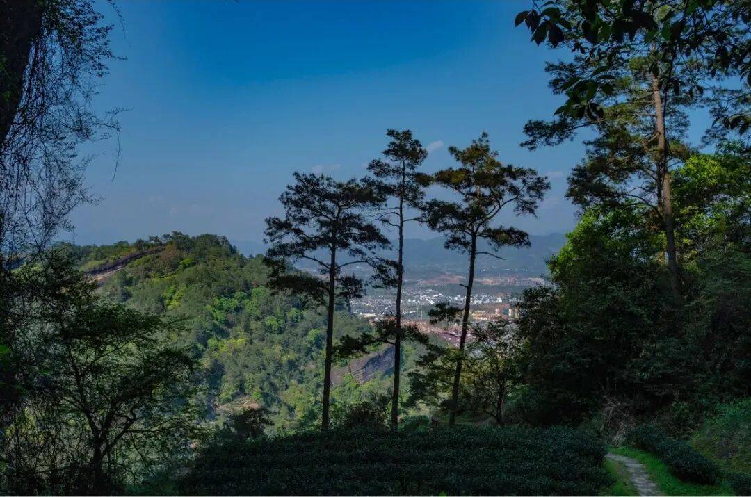 为什么年轻人迷上了爬山？ | 秋高气爽<strong></p>
<p>深圳理财</strong>，是时候出发了→