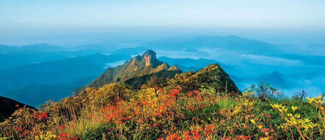 为什么年轻人迷上了爬山？ | 秋高气爽<strong></p>
<p>深圳理财</strong>，是时候出发了→