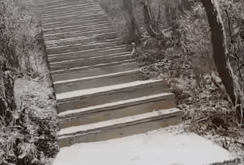 石家庄下雪了<strong></p>
<p>钱包理财</strong>！河北雨雪上线！新一股冷空气在路上……