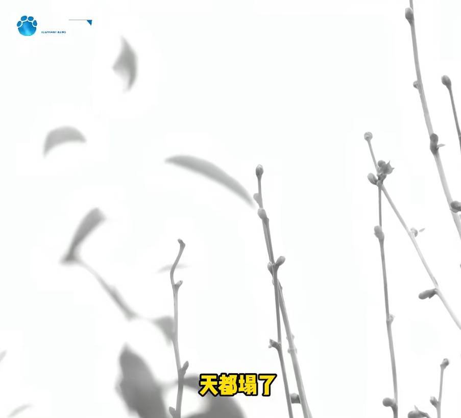 “天塌了<strong></p>
<p>理财红包</strong>，我一生都毁了”，男子称养了20年才发现儿子非亲生！前妻坚决否认