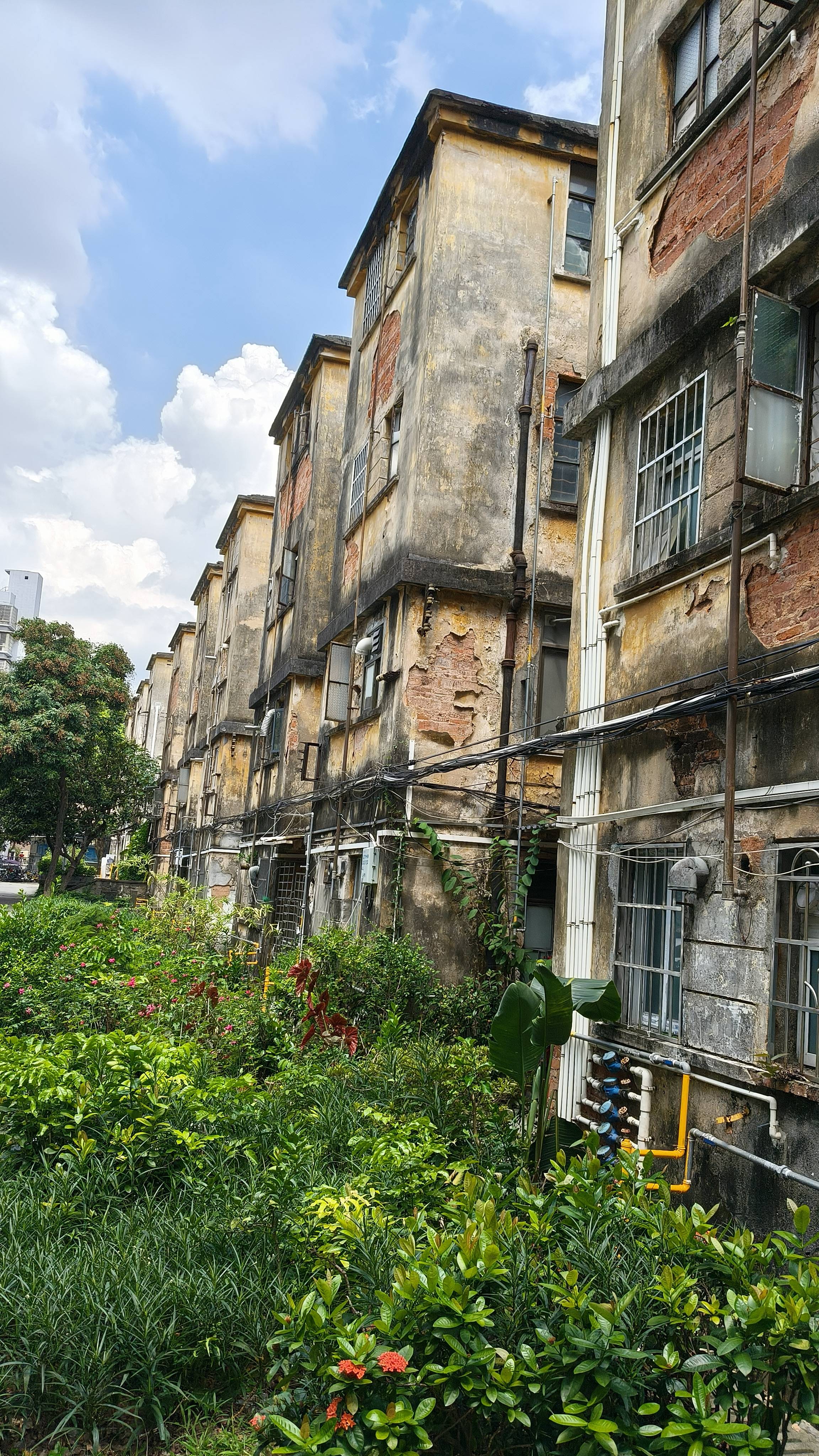 广州重典整治爆改乱建<strong></p>
<p>理财红包</strong>，让好房子更安全｜南方产业观