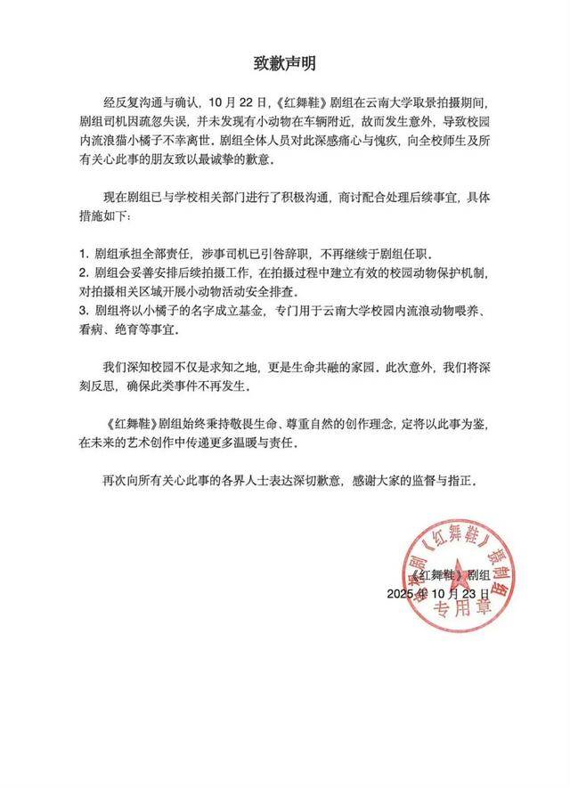 《红舞鞋》剧组在高校拍摄时撞死流浪猫<strong></p>
<p>理财红包</strong>，剧组凌晨致歉：涉事司机引咎辞职，将以小猫名字成立基金