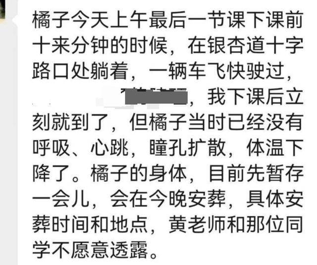 《红舞鞋》剧组在高校拍摄时撞死流浪猫<strong></p>
<p>理财红包</strong>，剧组凌晨致歉：涉事司机引咎辞职，将以小猫名字成立基金