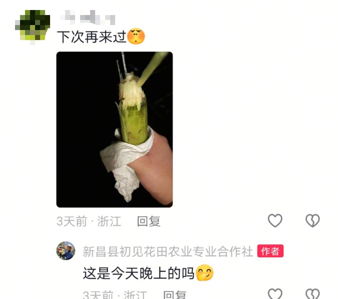 浙江一“可偷甘蔗地”成打卡点<strong></p>
<p>银行理财基金</strong>,上百网友深夜体验,80后“地主”:已收偷款6千元