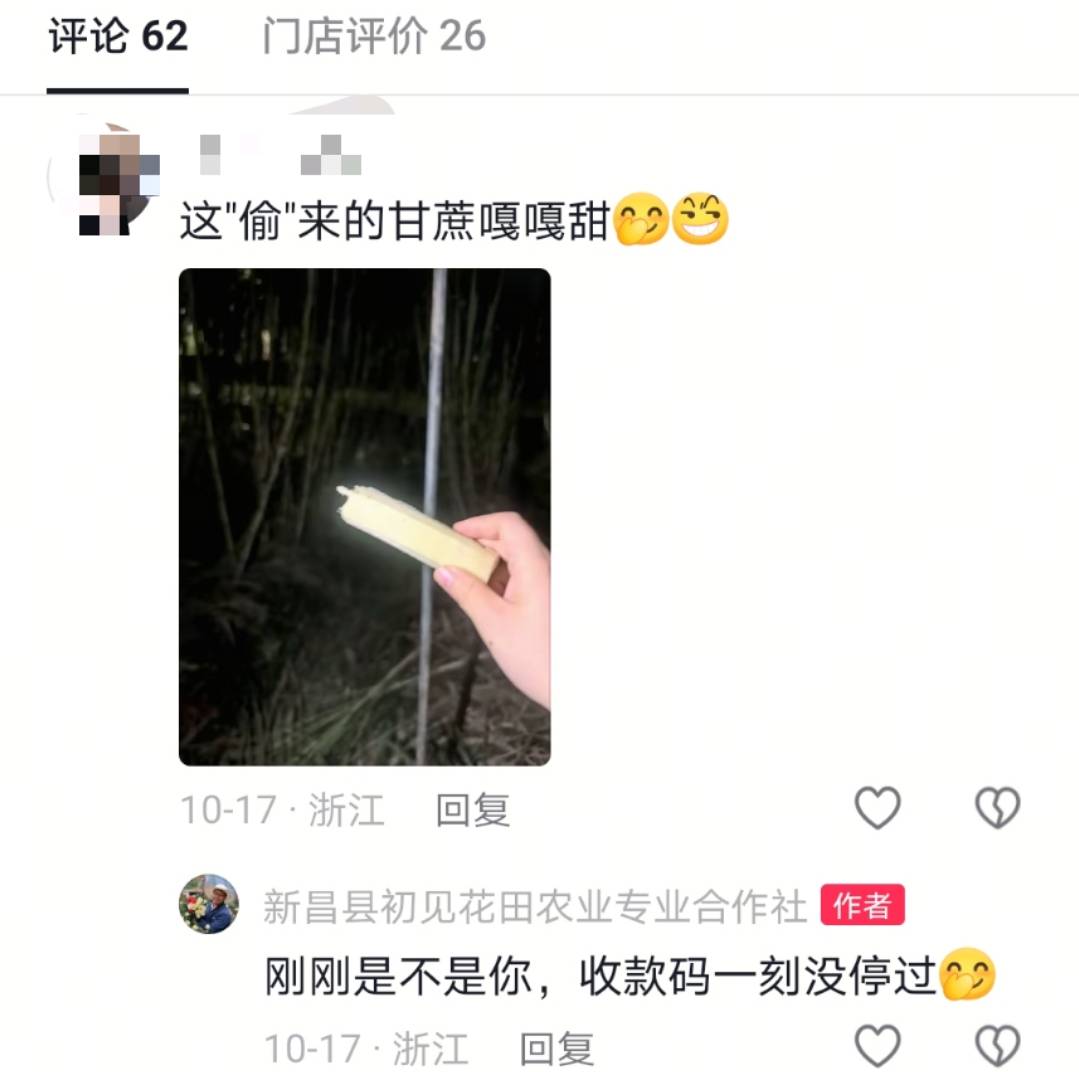 浙江一“可偷甘蔗地”成打卡点<strong></p>
<p>银行理财基金</strong>,上百网友深夜体验,80后“地主”:已收偷款6千元