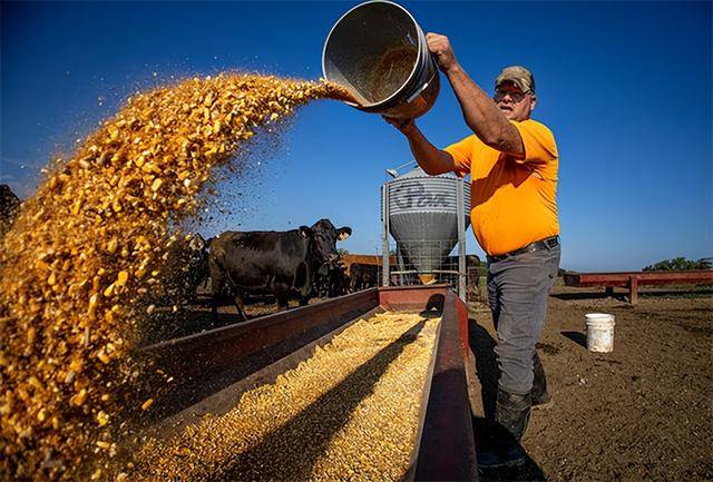 又输给了李成钢<strong></p>
<p>红包理财</strong>,贝森特承诺:美方不再考虑对华加征100%关税