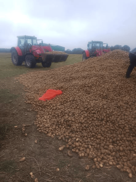 波兰68岁农民收获的150吨土豆被一夜搬空<strong></p>
<p>红包理财</strong>， 只因帖子遭篡改