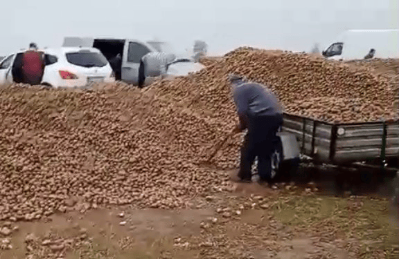 波兰68岁农民收获的150吨土豆被一夜搬空<strong></p>
<p>红包理财</strong>， 只因帖子遭篡改