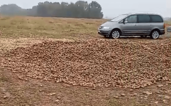 波兰68岁农民收获的150吨土豆被一夜搬空<strong></p>
<p>红包理财</strong>， 只因帖子遭篡改