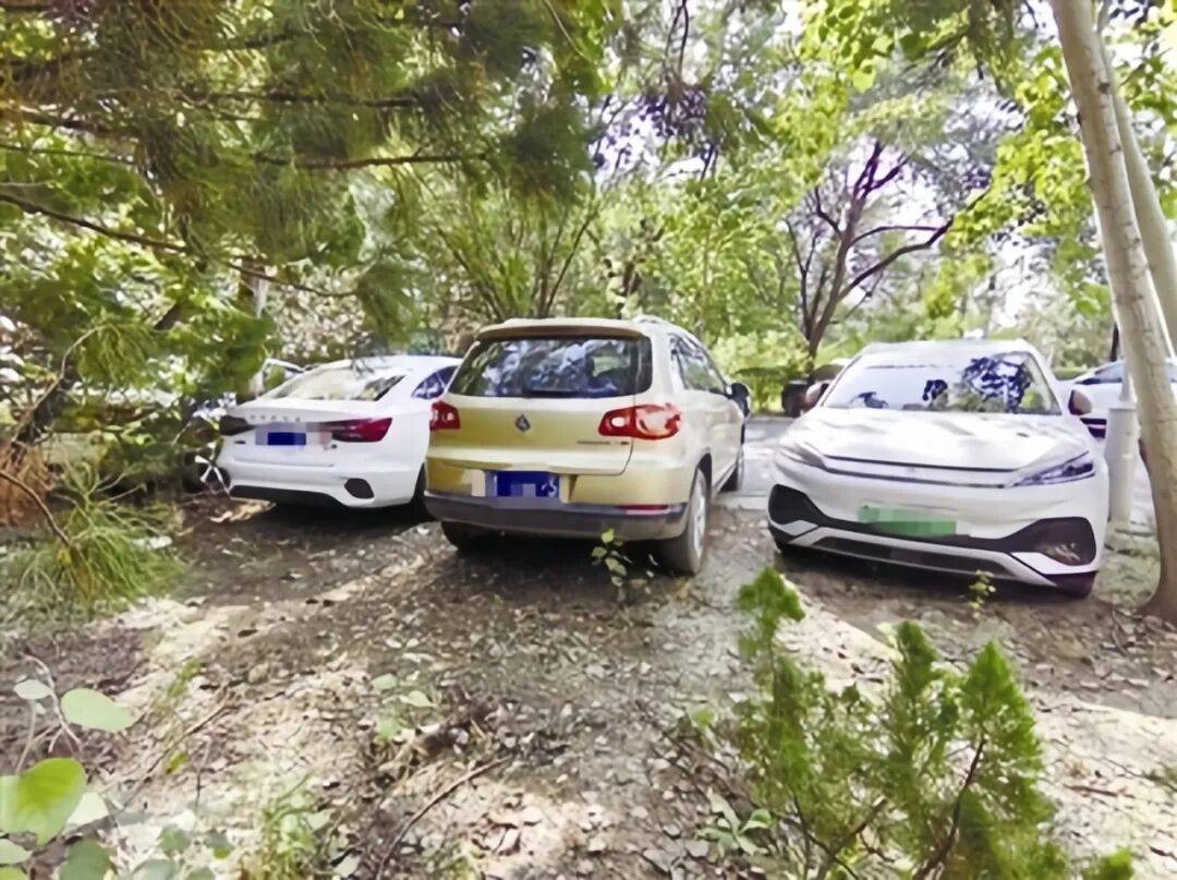 天津媒体评论：街边绿地成“停车场”？根治靠合力