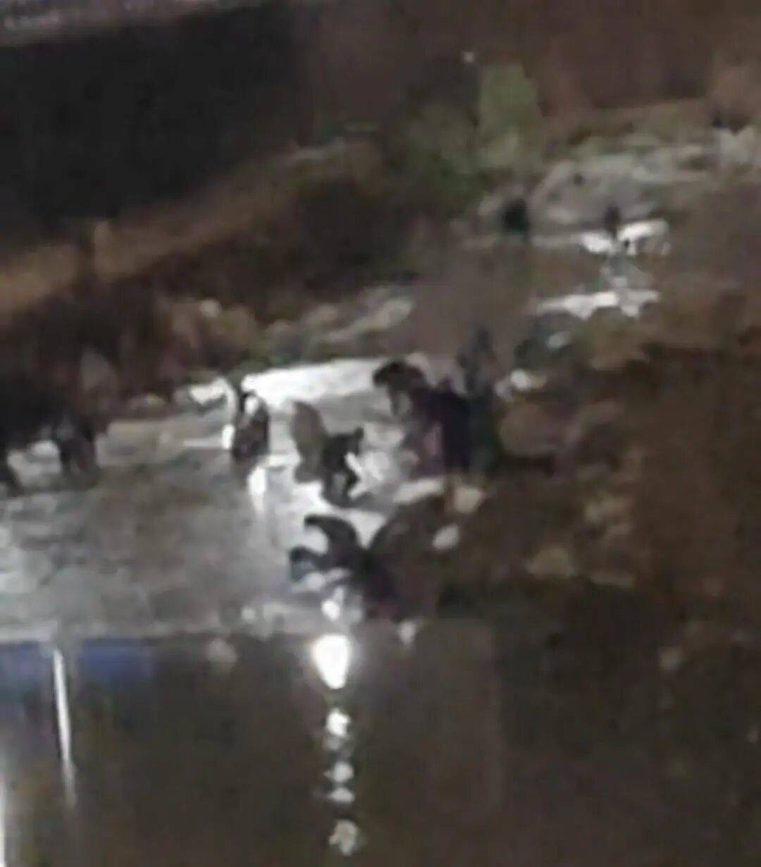 “一盆出5克多”<strong></p>
<p>理财注册</strong>，多人凌晨下河淘金！当地警方回应