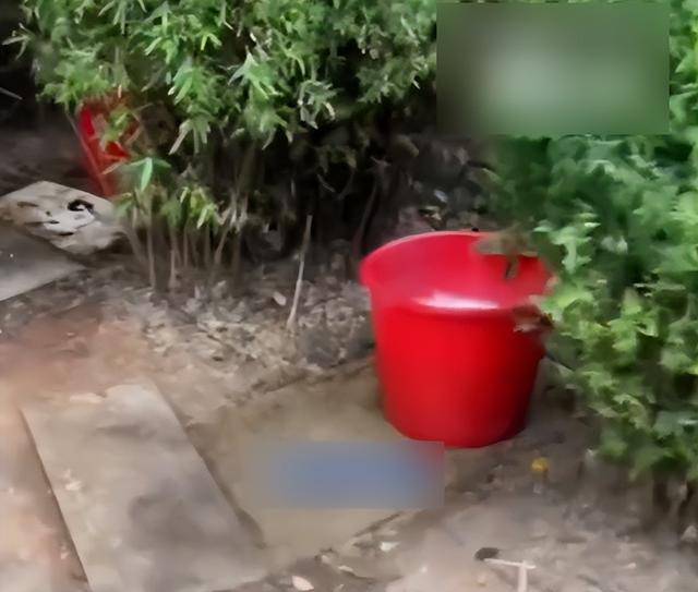 九江一公园摆3个尿桶供人露天小便<strong></p>
<p>个人银行理财</strong>，不到百米外就有公厕