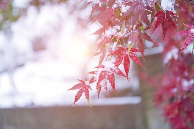 百年难遇“早立冬”来了<strong></p>
<p>个人银行理财</strong>！有啥讲究？早看早准备！