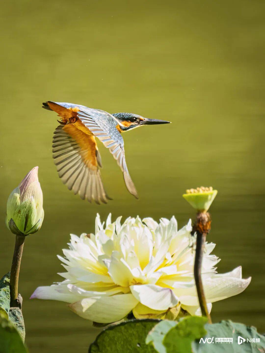 东莞最新发布：将严厉打击这些行为<strong></p>
<p>个人银行理财</strong>！