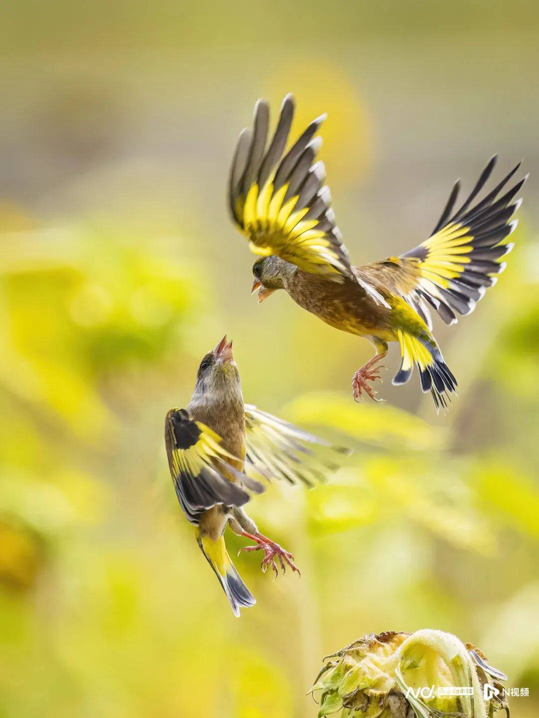 东莞最新发布：将严厉打击这些行为<strong></p>
<p>个人银行理财</strong>！