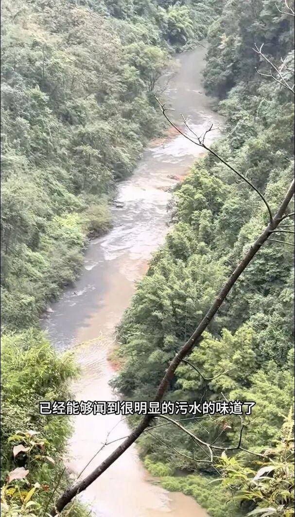 重庆通报：坚决查处<strong></p>
<p>老人理财</strong>，绝不姑息