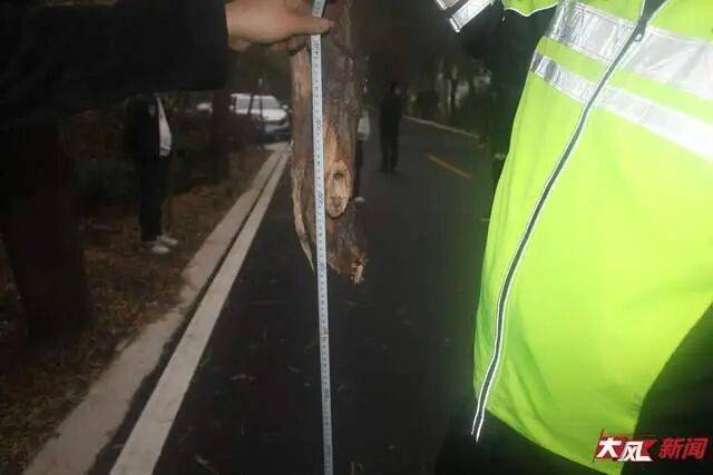 陕西兴平56岁女教师骑电动车“撞树枝”身亡<strong></p>
<p>理财产品安全吗</strong>，交警判定担主责，家属提出诸多质疑，多方回应