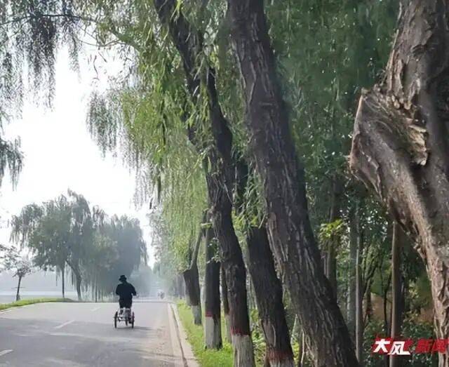 陕西兴平56岁女教师骑电动车“撞树枝”身亡<strong></p>
<p>理财产品安全吗</strong>，交警判定担主责，家属提出诸多质疑，多方回应