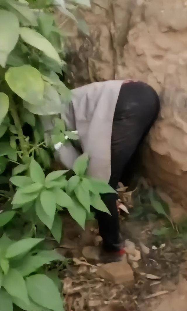 陕西一女子疑因拍亲姑姑偷玉米遭姑父棍杀<strong></p>
<p>50万理财</strong>，邻居欲报警也遇害