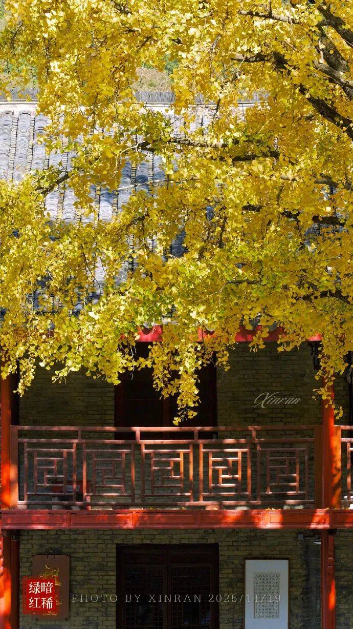 未来三天全省晴，气温缓慢回升。明晨淮河以南部分地区有雾或浓雾