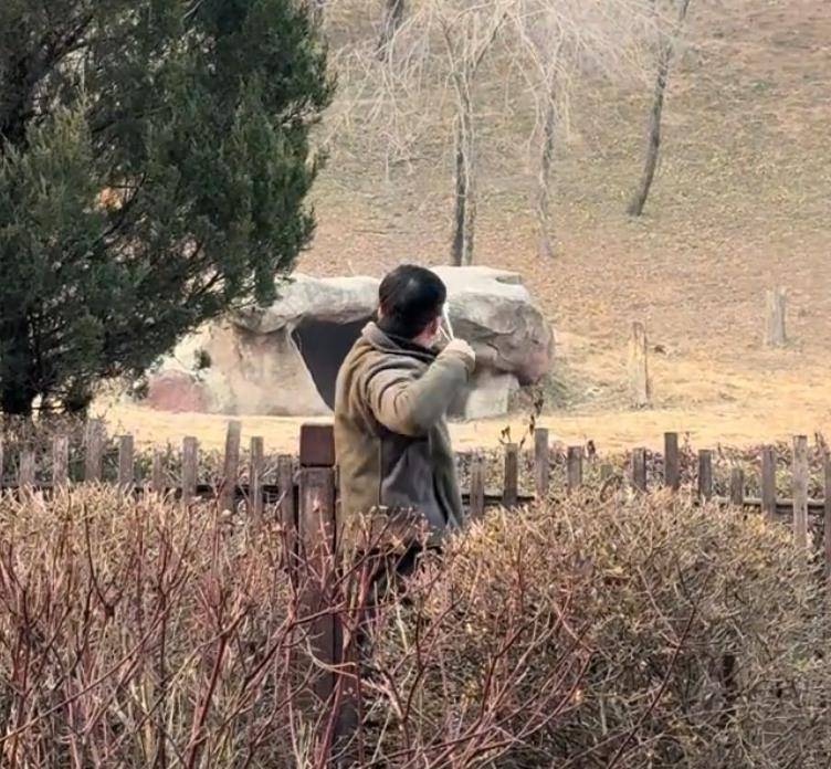 沈阳一男子动物园内用弹弓射老虎<strong></p>
<p>理财消费</strong>，目击者称其“填装了弹丸”，打完后老虎爬起来了，园方：正在核实情况