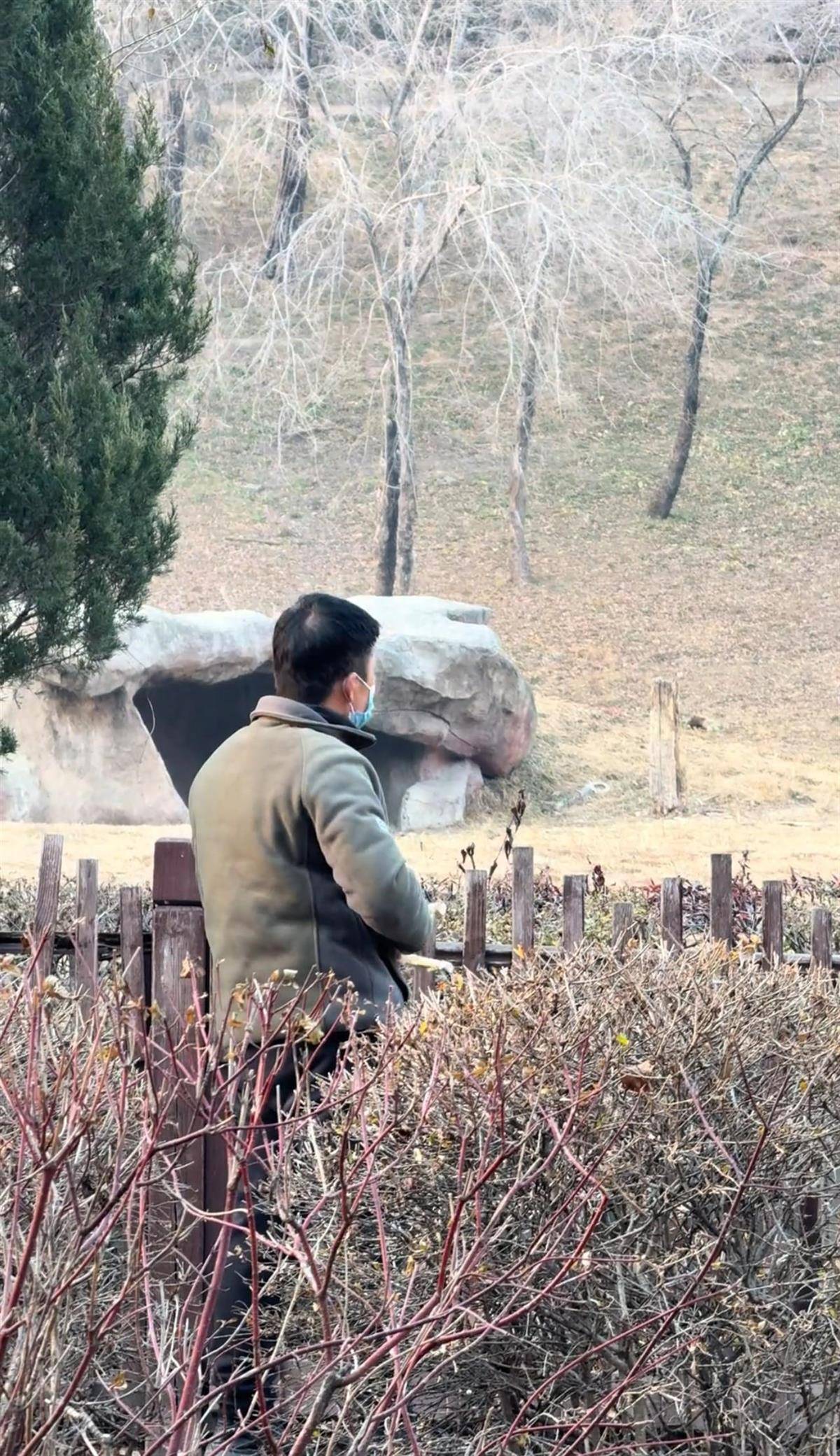 沈阳一男子动物园内用弹弓射老虎<strong></p>
<p>理财消费</strong>，目击者称其“填装了弹丸”，打完后老虎爬起来了，园方：正在核实情况