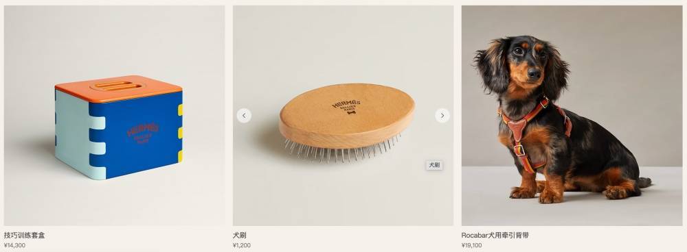 爱马仕新上架2万元不锈钢狗碗<strong></p>
<p>理财保本</strong>，客服：只剩少量库存