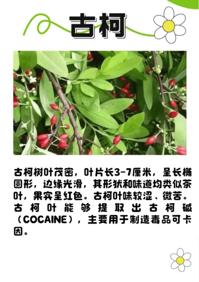 悬赏1500万美金！前奥运选手涉多起案件<strong></p>
<p>零钱通理财</strong>，被列入十大通缉犯