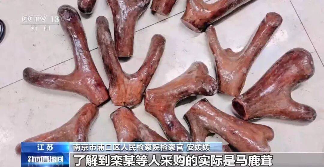 老人不买天价鹿茸被一脚踹翻<strong></p>
<p>30万理财</strong>，南京一团伙暴力威逼老人买单，100多人被骗，涉案金额90余万元，多数老人乖乖回家拿钱，甚至被逼去银行取款